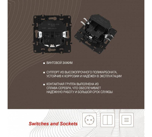 Розетка с заземлением и со шторкой и 2хUSB, без рамки Arte Milano am-217 217.47-1.black