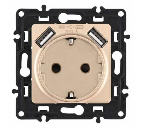 Розетка с заземлением и со шторкой и 2хUSB, без рамки Arte Milano am-217 217.47-1.shampan