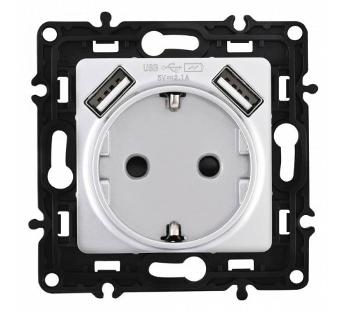 Розетка с заземлением и со шторкой и 2хUSB, без рамки Arte Milano am-217 217.47-1.silver
