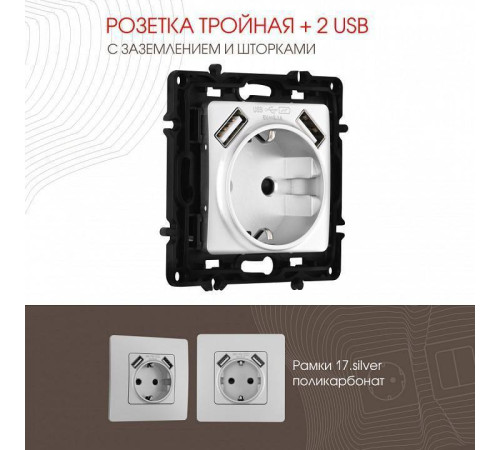 Розетка с заземлением и со шторкой и 2хUSB, без рамки Arte Milano am-217 217.47-1.silver