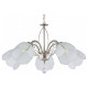 Подвесная люстра Arte Milano Amalfi-2656 5xE14 332656/5 SN