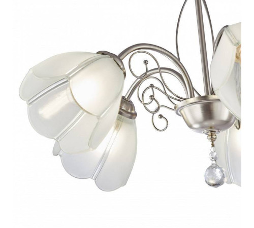 Подвесная люстра Arte Milano Amalfi-2656 5xE14 332656/5 SN