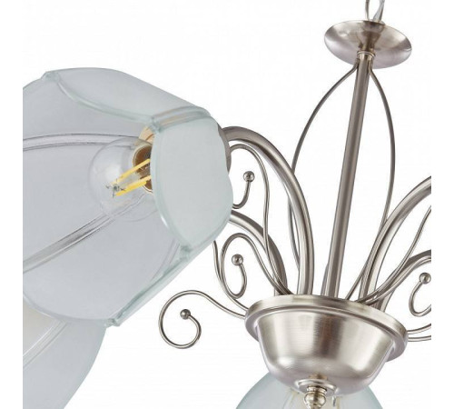 Подвесная люстра Arte Milano Amalfi-2656 5xE14 332656/5 SN