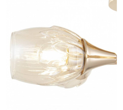 Потолочная люстра Arte Milano Napoli-6366 336366/5 FGD