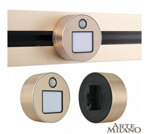 Накладной светильник Arte Milano Am-track-sockets 380011TLS/LWS Gold
