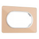Рамка для двойной розетки Arte Milano am-502.13 502.13-double.shampan