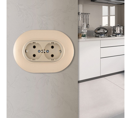 Розетка двойная с заземлением и со шторкой Arte Milano SET08-2 SET08-double-40-2 shampan