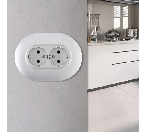 Розетка двойная с заземлением и со шторкой Arte Milano SET08-2 SET08-double-40-2 silver