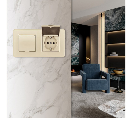 Розетка с заземлением и шторкой, с крышкой Arte Milano SET16-2 SET16-2-41-1x2 shampan