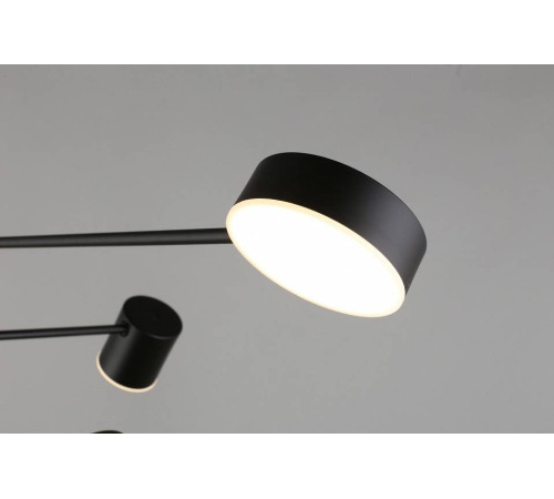 Люстра на штанге Aployt Frania APL.017.07.48