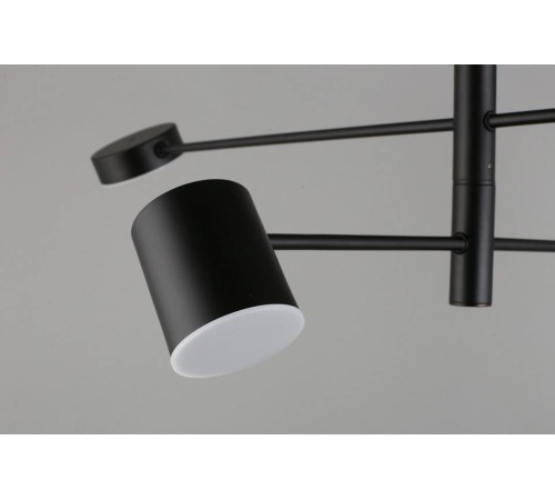 Люстра на штанге Aployt Frania APL.017.07.48