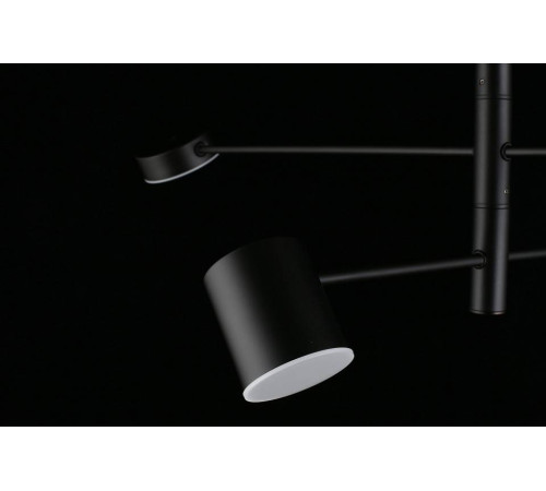 Люстра на штанге Aployt Frania APL.017.07.48