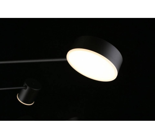 Люстра на штанге Aployt Frania APL.017.07.48