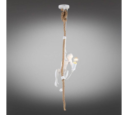 Подвесной светильник Aployt Magali APL.309.06.01