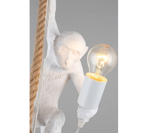 Подвесной светильник Aployt Magali APL.309.06.01