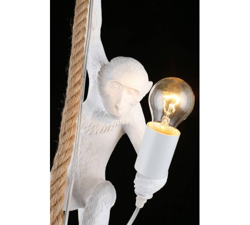 Подвесной светильник Aployt Magali APL.309.06.01