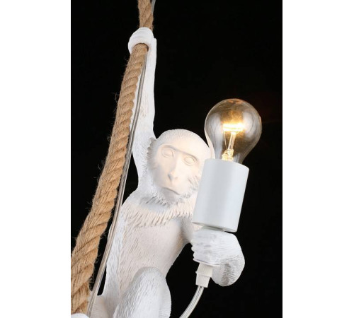 Подвесной светильник Aployt Magali APL.309.06.01