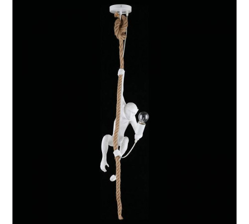 Подвесной светильник Aployt Magali APL.309.06.01