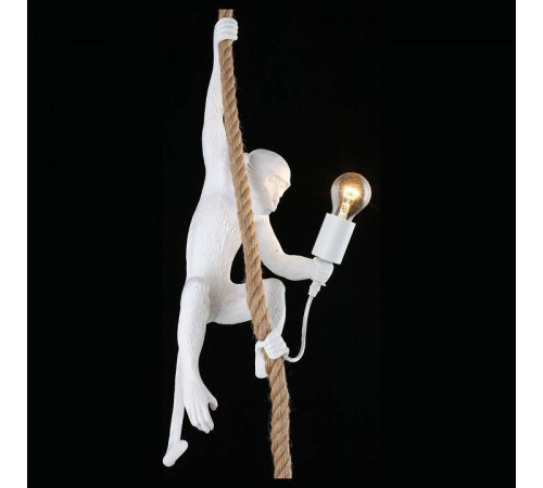 Подвесной светильник Aployt Magali APL.309.06.01