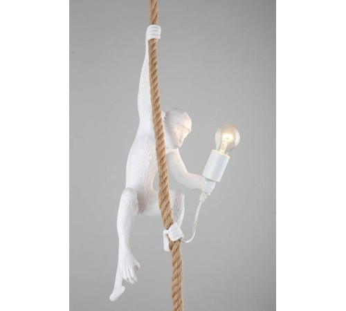 Подвесной светильник Aployt Magali APL.309.06.01