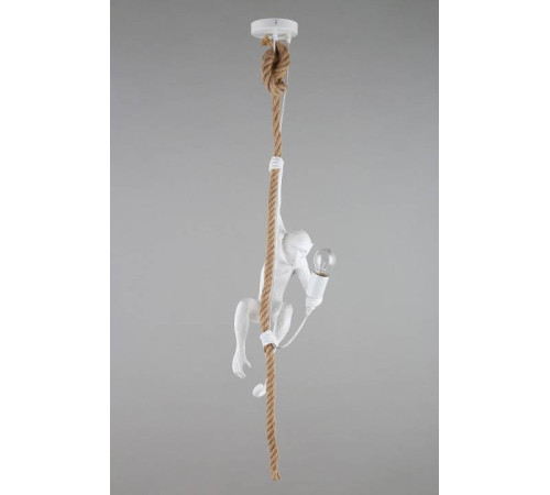 Подвесной светильник Aployt Magali APL.309.06.01