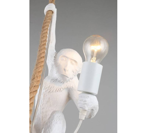 Подвесной светильник Aployt Magali APL.309.06.01