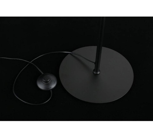 Торшер Aployt Jagna APL.312.05.04