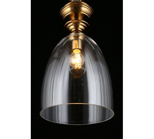 Подвесной светильник Aployt Rena APL.602.16.01