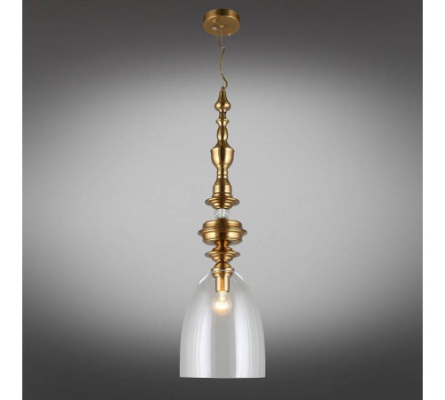 Подвесной светильник Aployt Rena APL.602.16.01