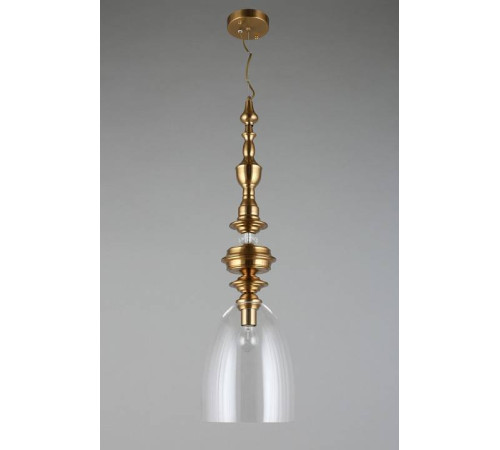 Подвесной светильник Aployt Rena APL.602.16.01