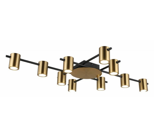 Потолочная люстра Aployt Elwisia APL.633.07.10