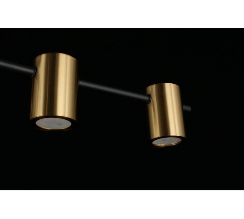 Потолочная люстра Aployt Elwisia APL.633.07.10