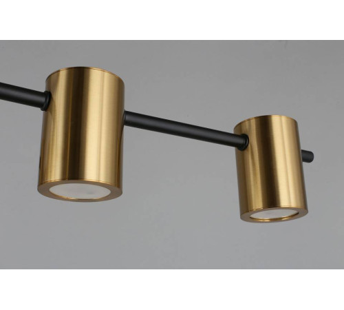 Потолочная люстра Aployt Elwisia APL.633.07.10