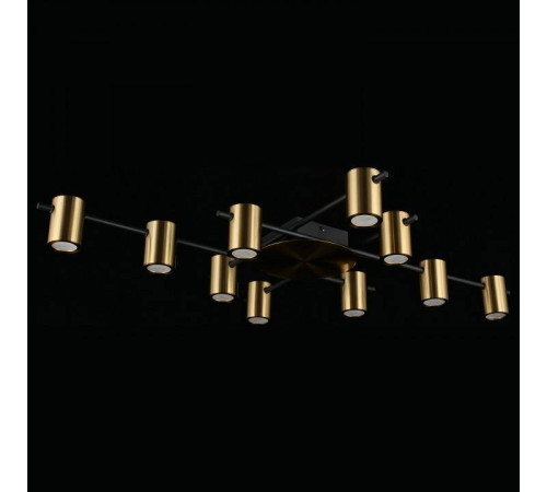 Потолочная люстра Aployt Elwisia APL.633.07.10