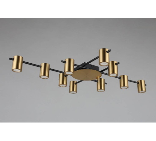 Потолочная люстра Aployt Elwisia APL.633.07.10