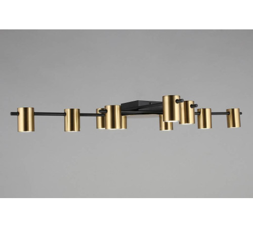 Потолочная люстра Aployt Elwisia APL.633.07.10