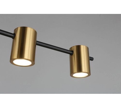 Потолочная люстра Aployt Elwisia APL.633.07.10