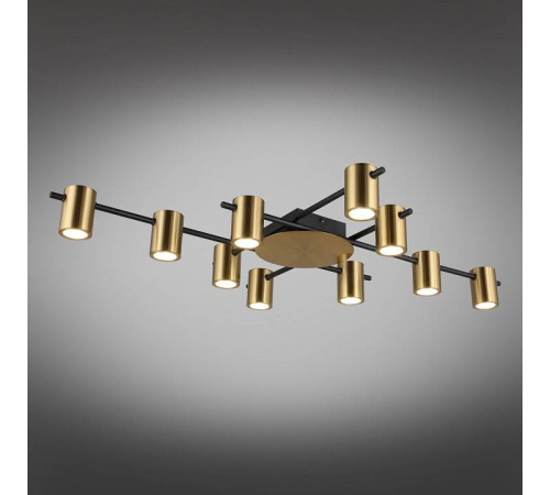 Потолочная люстра Aployt Elwisia APL.633.07.10