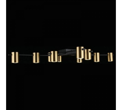 Потолочная люстра Aployt Elwisia APL.633.07.10