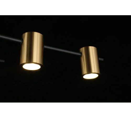 Потолочная люстра Aployt Elwisia APL.633.07.10