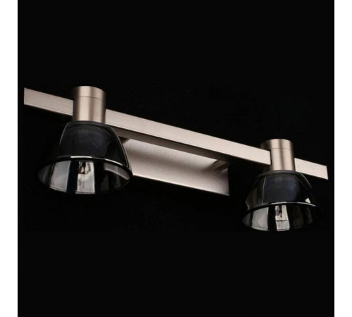 Бра Aployt Rezeda APL.788.01.02