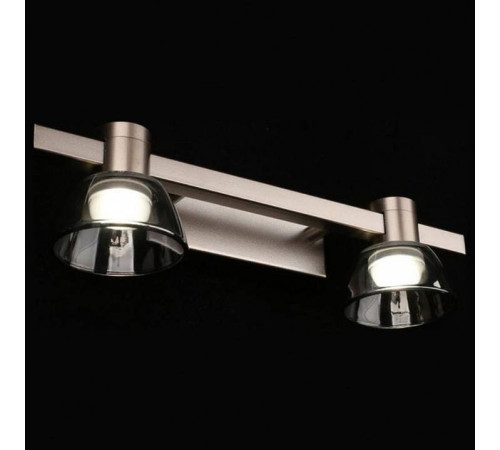 Бра Aployt Rezeda APL.788.01.02