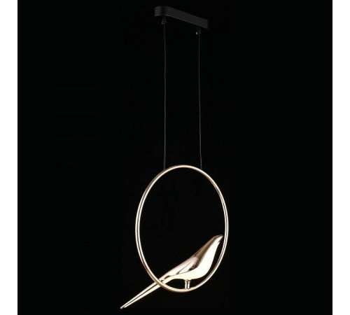 Подвесной светильник Aployt Astor APL.822.06.10