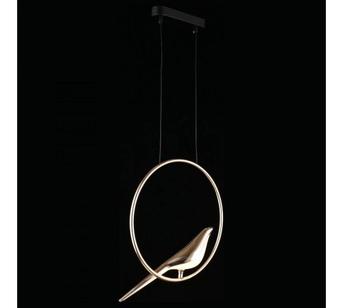 Подвесной светильник Aployt Astor APL.822.06.10