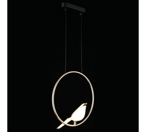 Подвесной светильник Aployt Astor APL.822.06.10