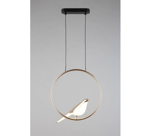 Подвесной светильник Aployt Astor APL.822.06.10