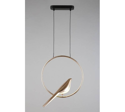 Подвесной светильник Aployt Astor APL.822.06.10