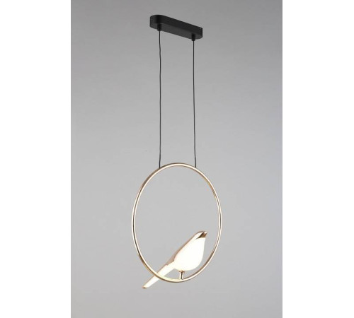 Подвесной светильник Aployt Astor APL.822.06.10