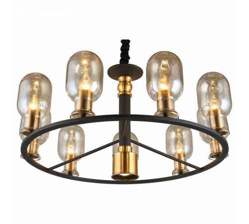 Подвесная люстра Aployt Stefani APL.901.03.10