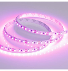 Лента светодиодная Arlight RT открытая 015897(2)